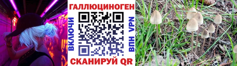 ОМГ ОМГ сайт  Далматово  Псилоцибиновые грибы прущие грибы 